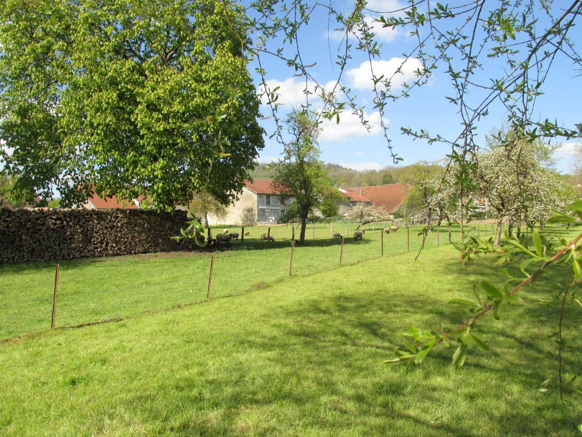 Bed and Breakfast La Taniere Douce Soulaucourt-sur-Mouzon Exterior foto