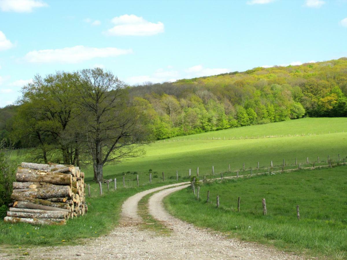 Bed and Breakfast La Taniere Douce Soulaucourt-sur-Mouzon Exterior foto