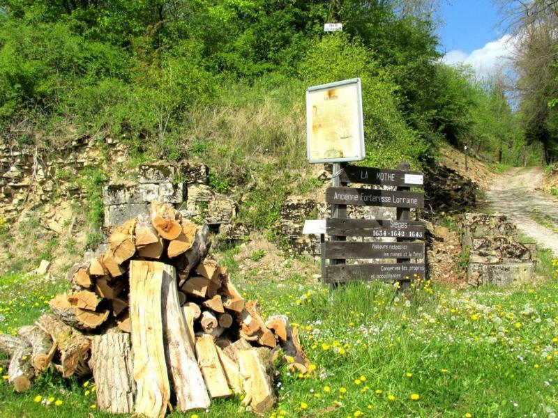 Bed and Breakfast La Taniere Douce Soulaucourt-sur-Mouzon Exterior foto